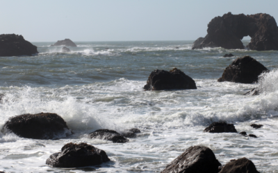 Waves crash around dark rocks along a rugged Northern California coastline, with a natural rock arch in the distance.